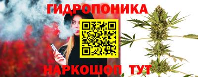 молекула духа Гусев