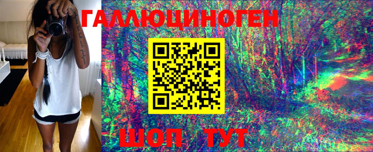 Галлюциногенные грибы Psilocybine cubensis Миллерово