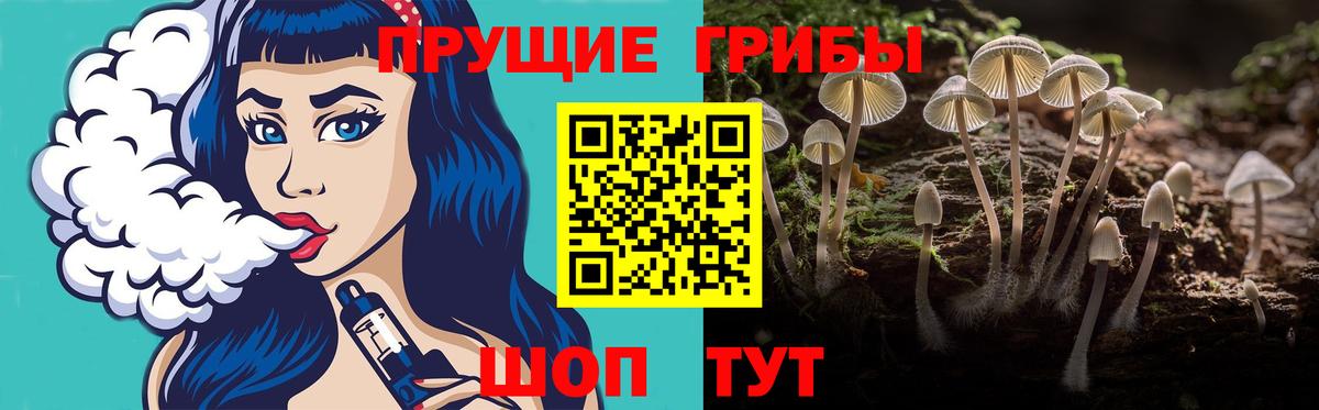 Галлюциногенные грибы прущие грибы  даркнет сайт  Миллерово  Вход с VPN 